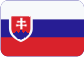 Informační bezpečnost Slovensky
